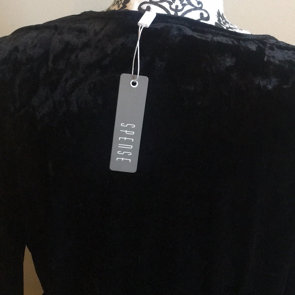 Velvet Blouse - Picture 4 of 5